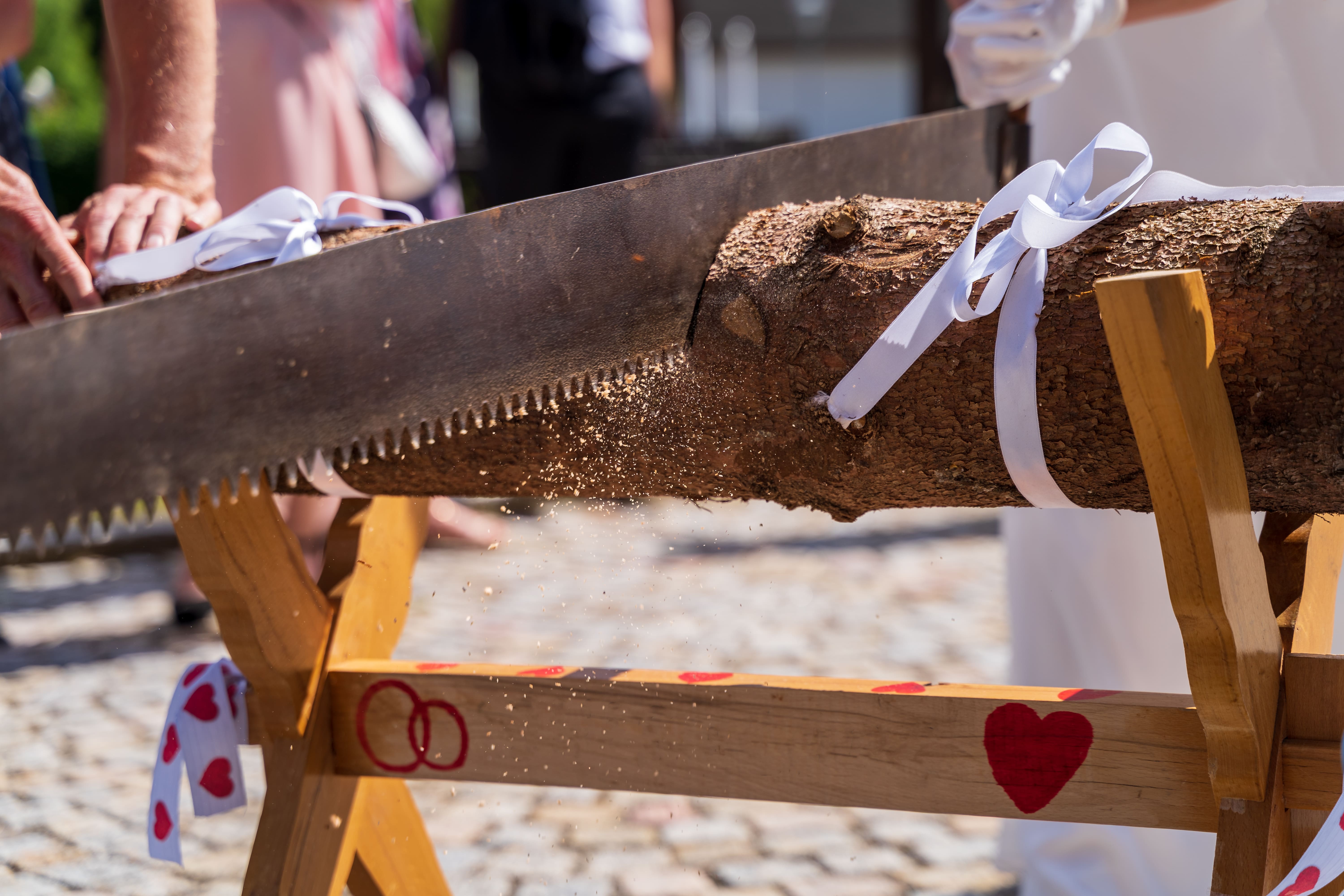 Jak wybrać odpowiednią piłę do prac ogrodowych?