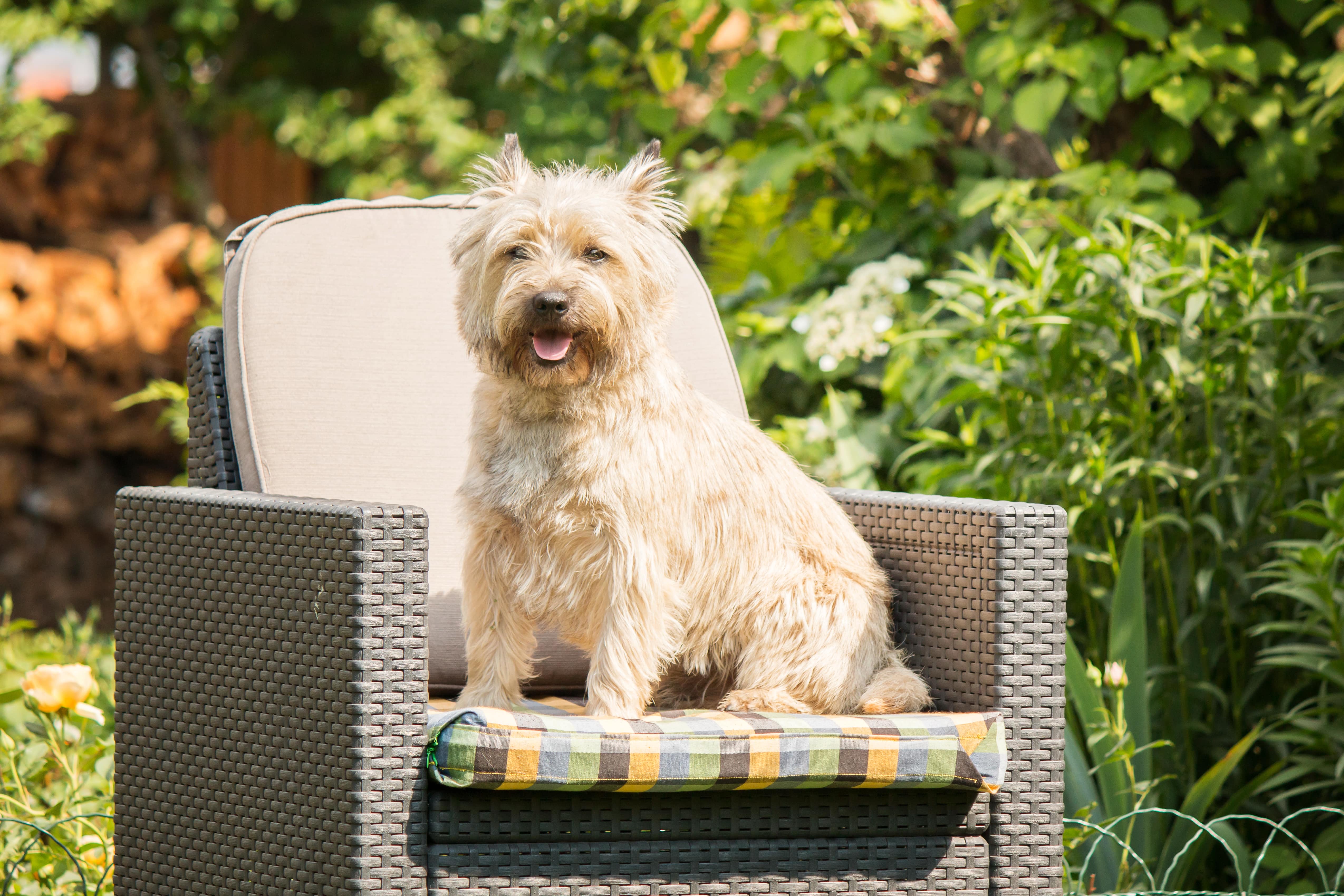 Jak zbudować leżak ogrodowy z drewna?