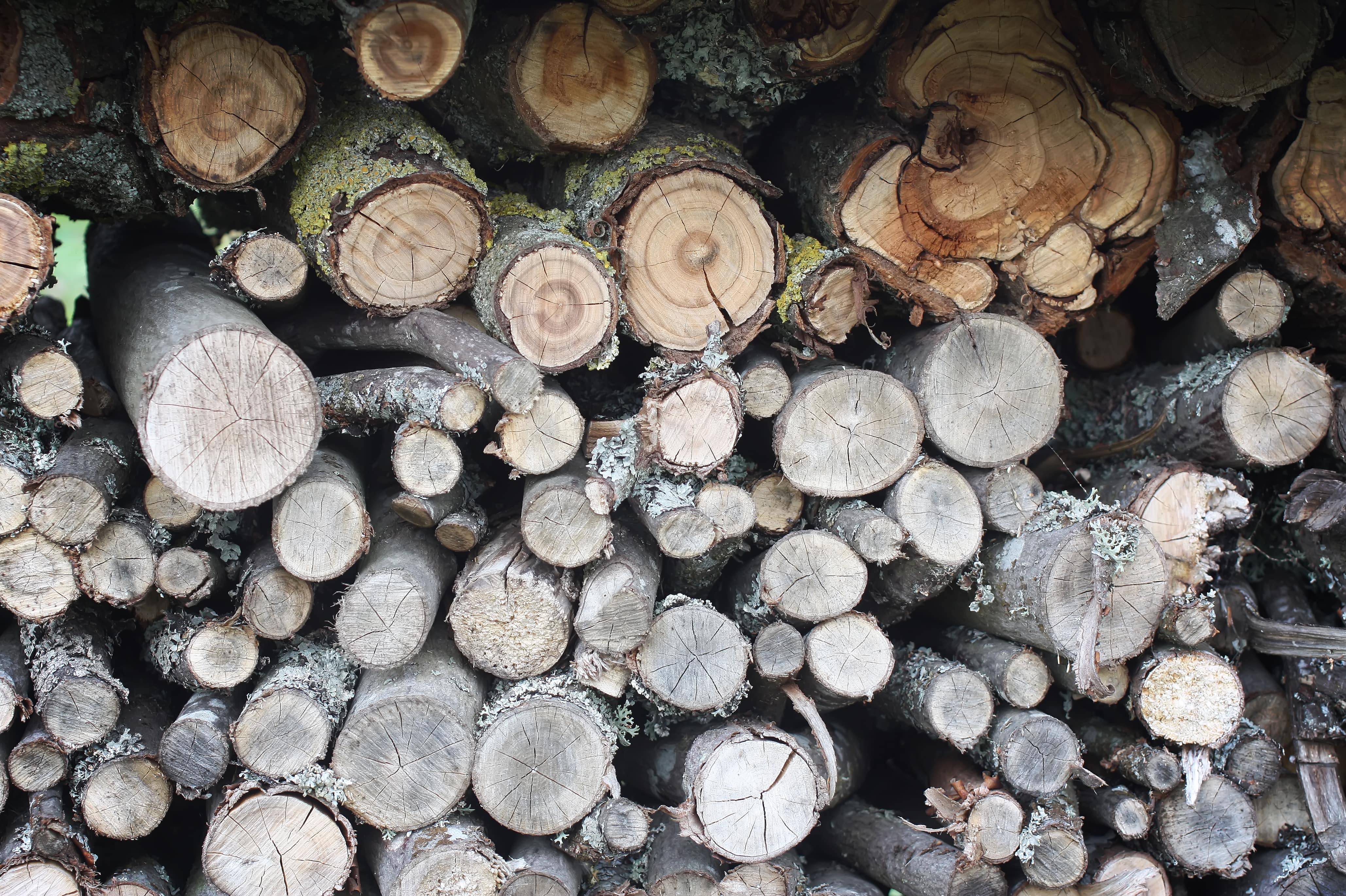 Jak zrobić stojak na drewno opałowe z profili stalowych? Praktyczny poradnik krok po kroku