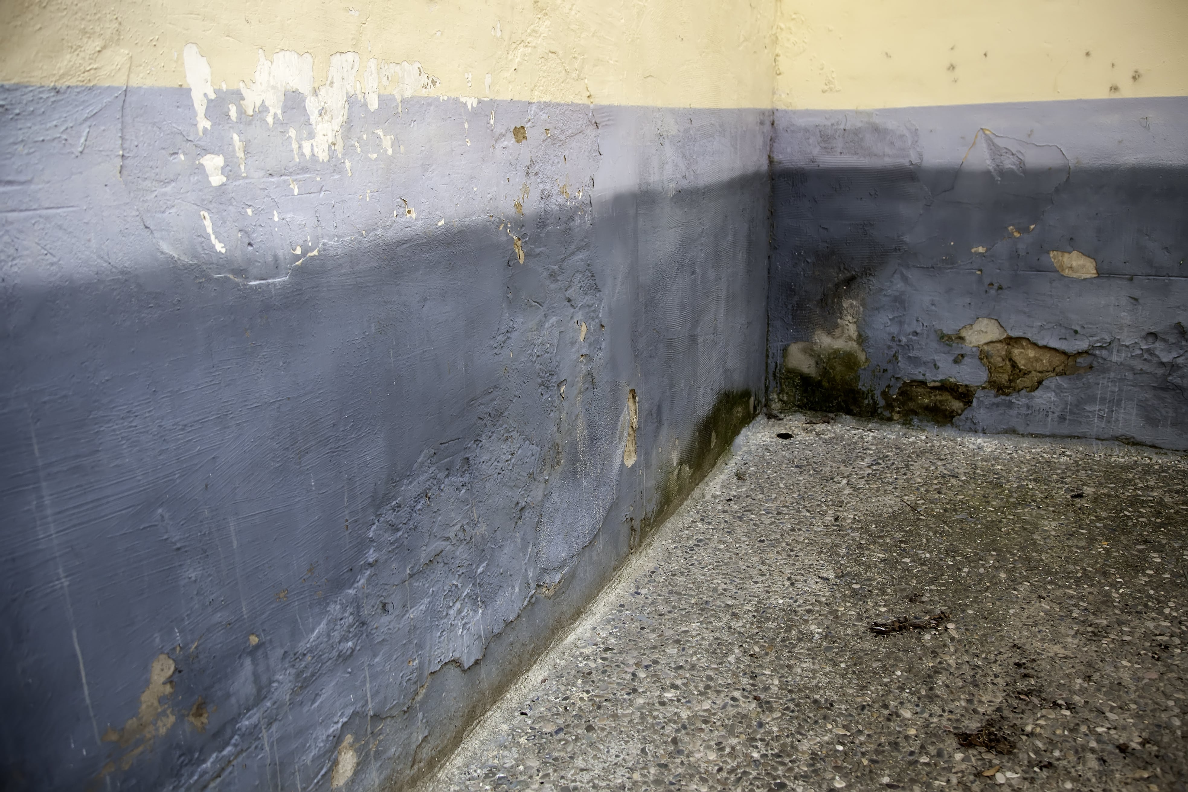 Jak zapobiec wilgoci w piwnicy podczas zimy? Kompletny poradnik DIY