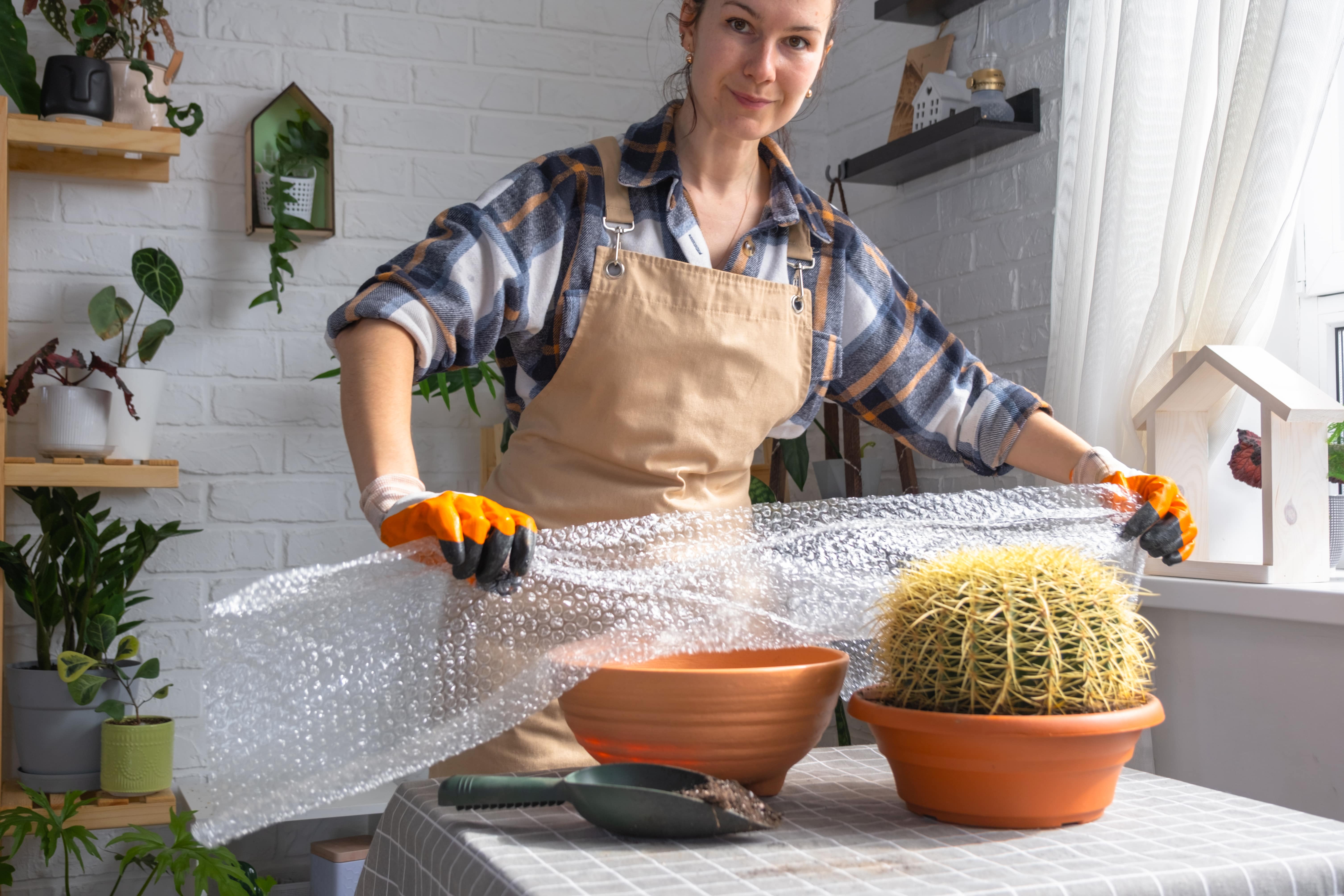 Jak zabezpieczyć rośliny doniczkowe przed mrozem? Kompletny poradnik DIY