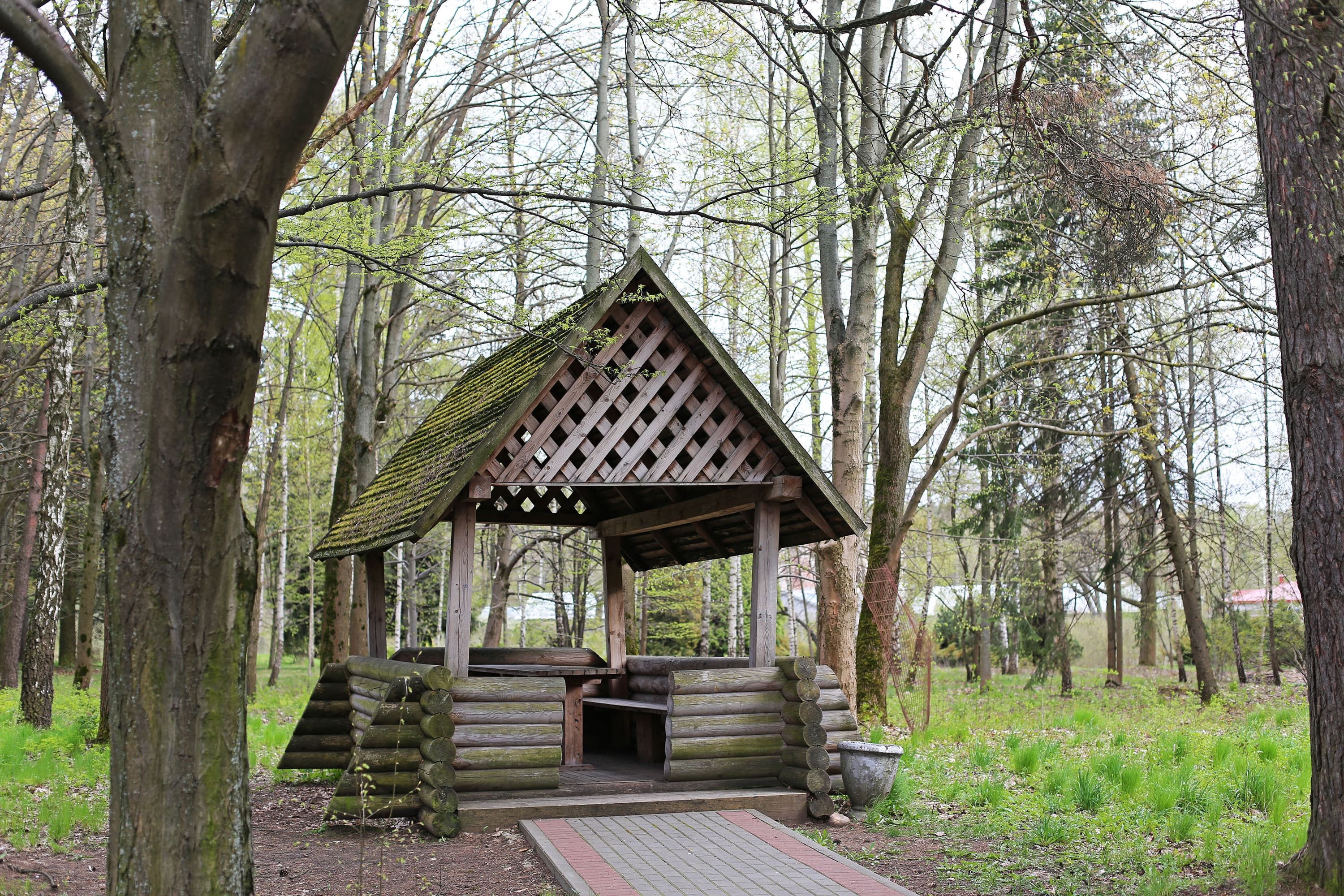 ak zabezpieczyć drewnianą altanę przed wilgocią? Kompleksowy poradnik