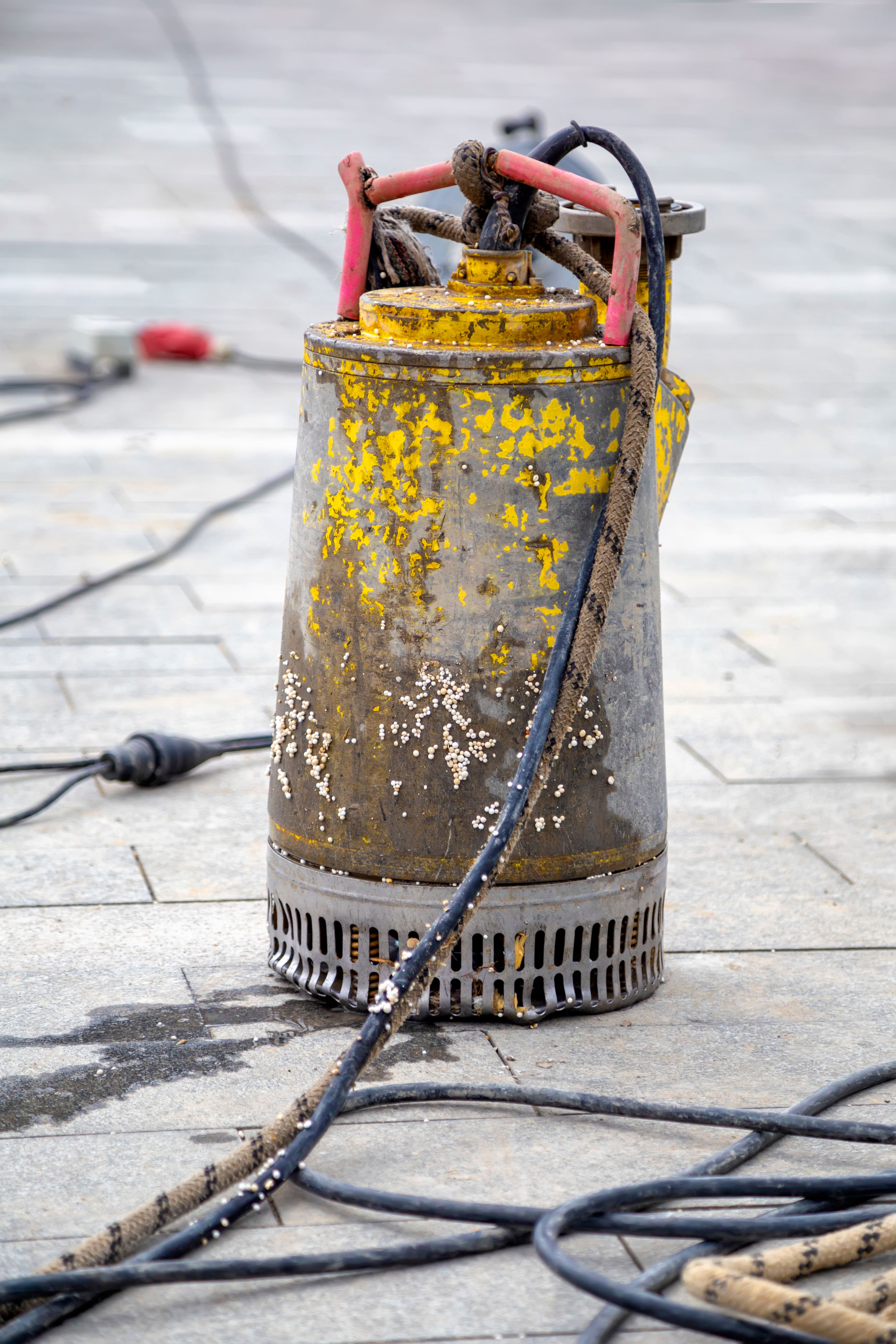 Jak wyjąć pompę z oczka wodnego na zimę? Kompletny poradnik od Domnarzedzi.pl