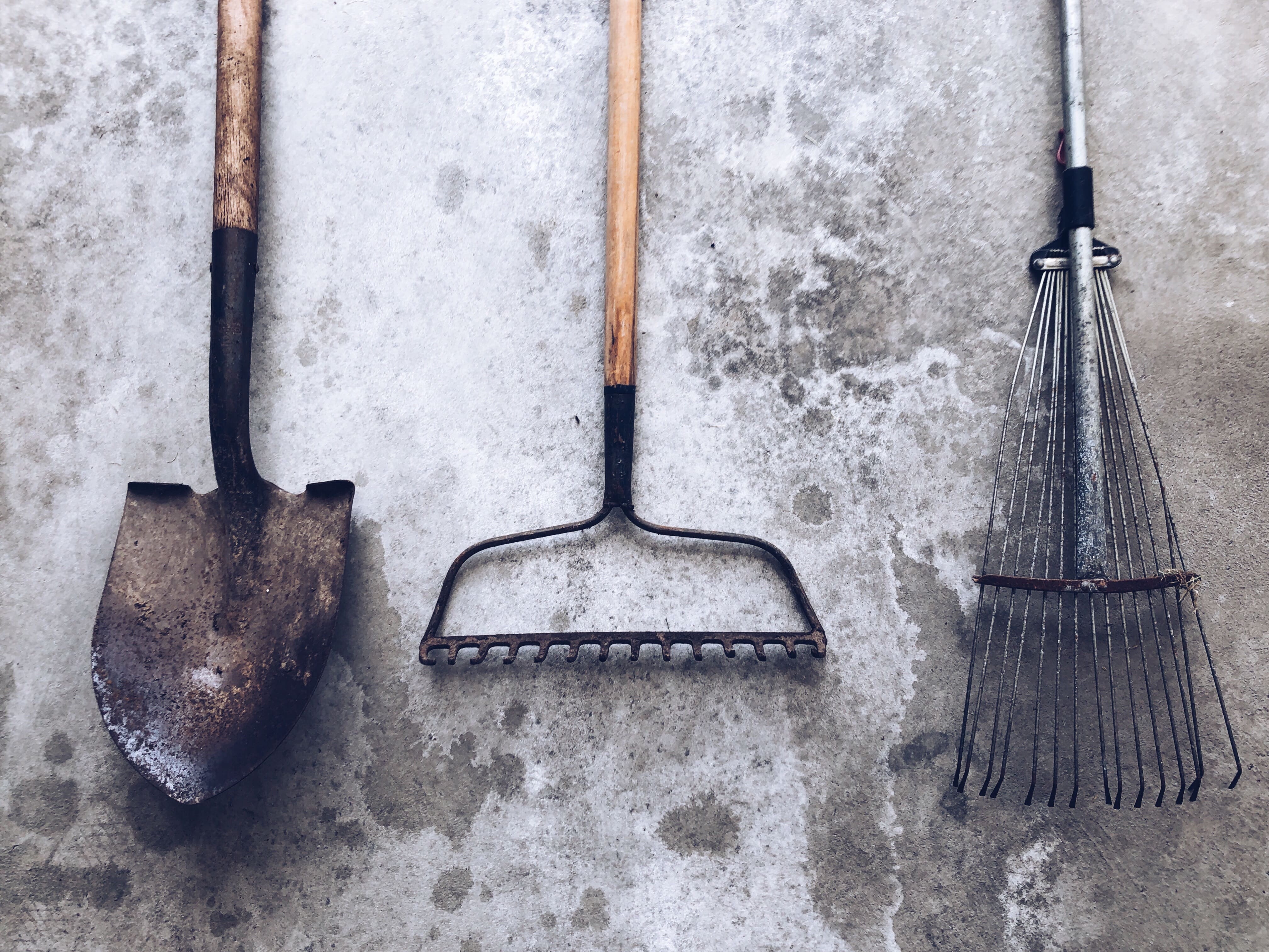 Jak wyczyścić narzędzia ogrodowe po sezonie? Kompletny poradnik od Domnarzedzi.pl