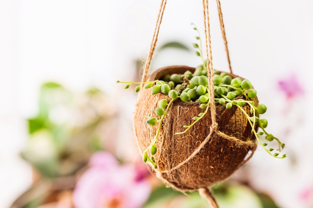 Upcycling – drugie życie starych przedmiotów